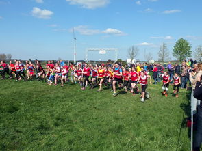 开云ky官网-青少年体育活动参与动机及其变化研究,参与体育活动的动机因素有哪些